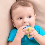 The Ultimate Guide To Best Baby Fresh Food Feeders