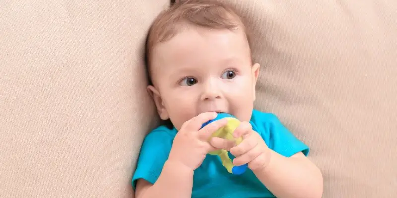 The Ultimate Guide To Best Baby Fresh Food Feeders