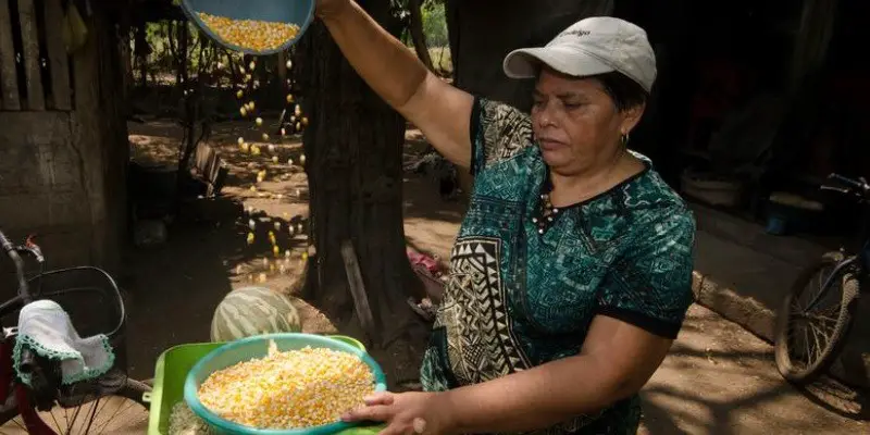 How Do Women Provide Food For Their Families In Nicaragua