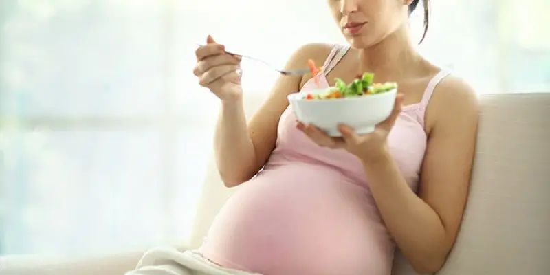Can Pregnant Women Eat Chicken Salad