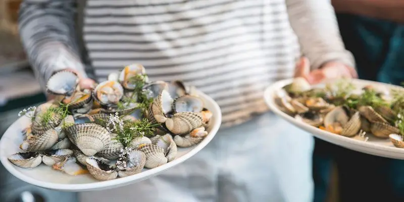 Can Pregnant Women Eat Clams