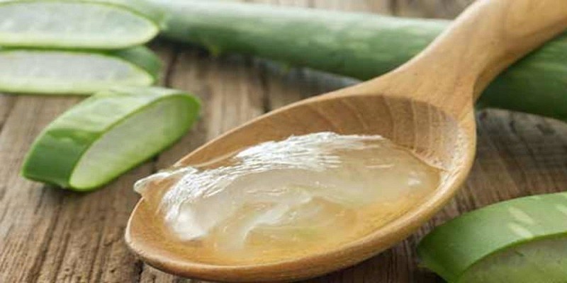 Can Aloe Vera Destroy Pregnancy