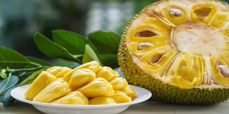 Can Eat Jackfruit During Pregnancy