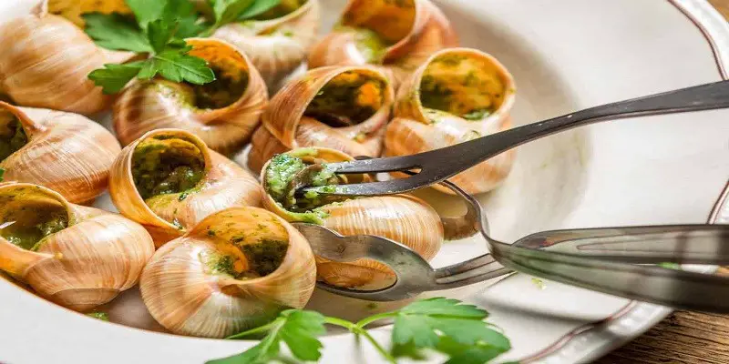 Can I Eat Cooked Snails When Pregnant