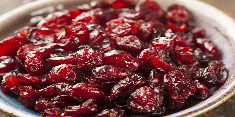 Can I Eat Dried Cranberries While Pregnant