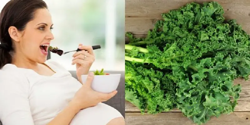 Can I Eat Kale While Pregnant