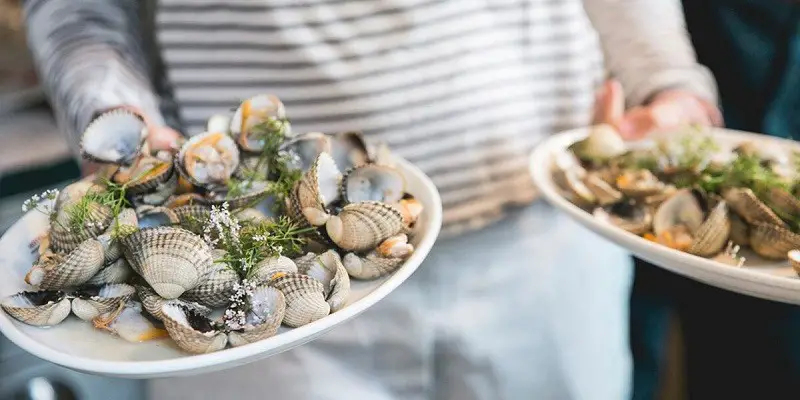 Can I Eat Mussels In White Wine Sauce While Pregnant