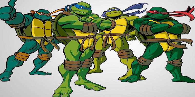 Which Teenage Mutant Ninja Turtle Are You