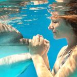 Can Dolphins Detect Pregnancy