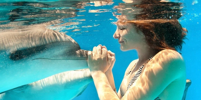 Can Dolphins Detect Pregnancy