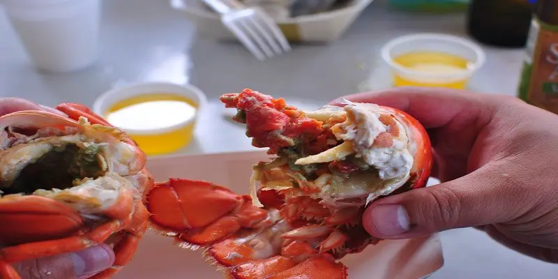 Can I Eat Cooked Lobster While Pregnant