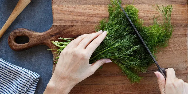 Can I Eat Dill While Pregnant