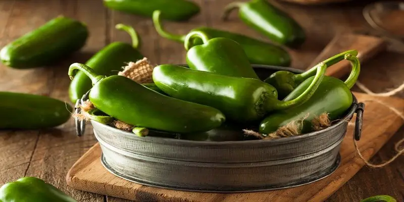 Can I Eat Jalapenos While Pregnant
