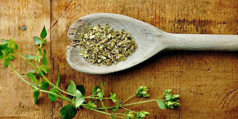 Can I Eat Oregano While Pregnant