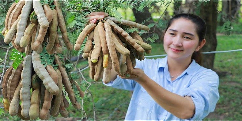 Can I Eat Tamarind While Pregnant