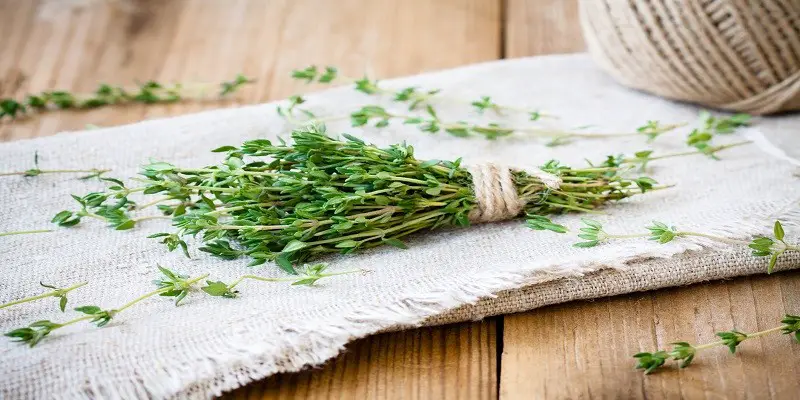 Can I Eat Thyme While Pregnant