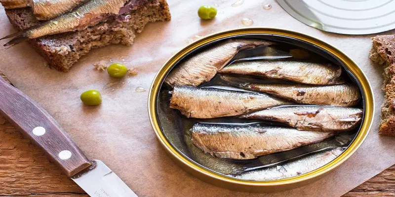 Can I Have Sardines While Pregnant
