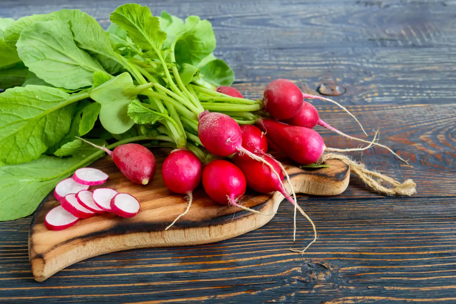 Can I Eat Radish While Pregnant