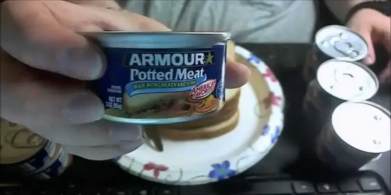Can I Eat Potted Meat While Pregnant