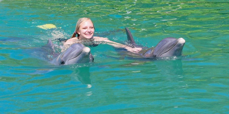 Can I Swim With Dolphins While Pregnant