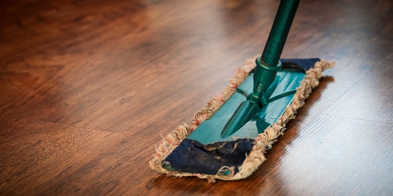 Best Mops For Vinyl Plank Floors