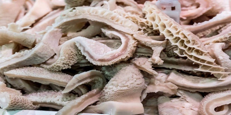 Can I Eat Tripe While Pregnant