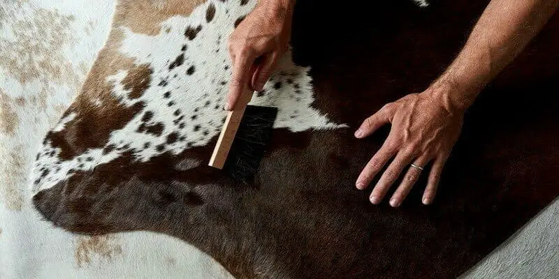 How To Clean A Cowhide Rug