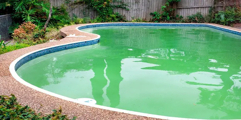 How To Clean A Green Pool