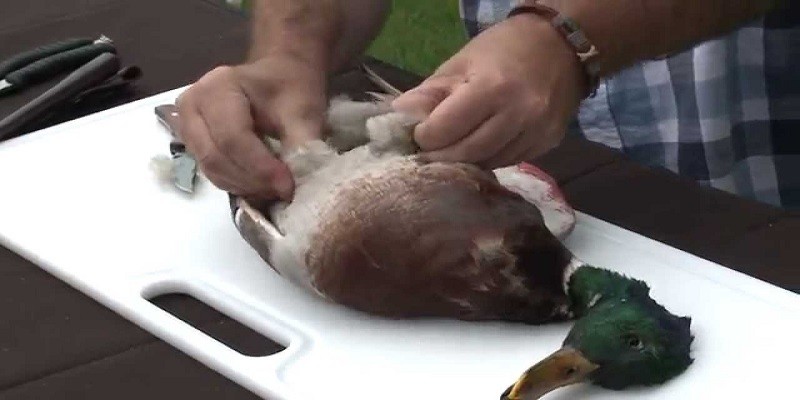 How Clean A Duck