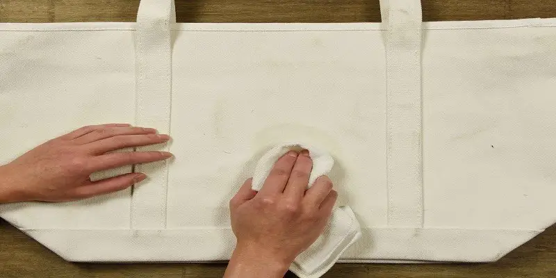 How To Clean A Canvas Bag
