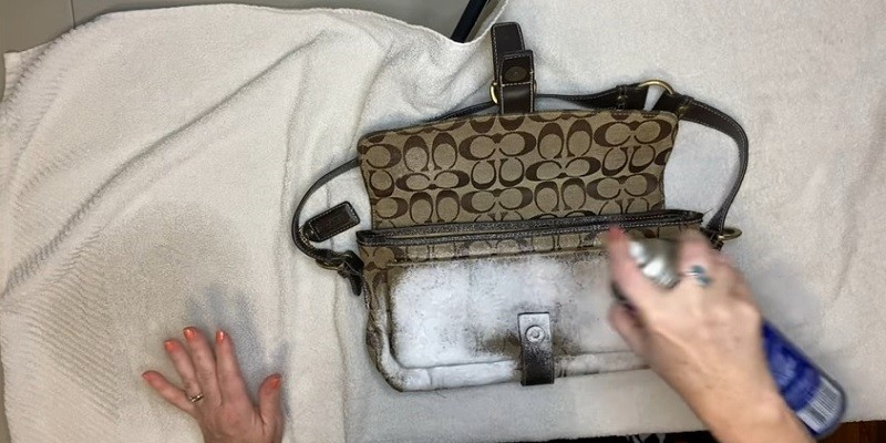 How To Clean A Coach Purse