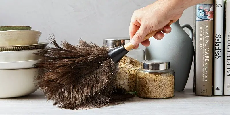 How To Clean A Feather Duster