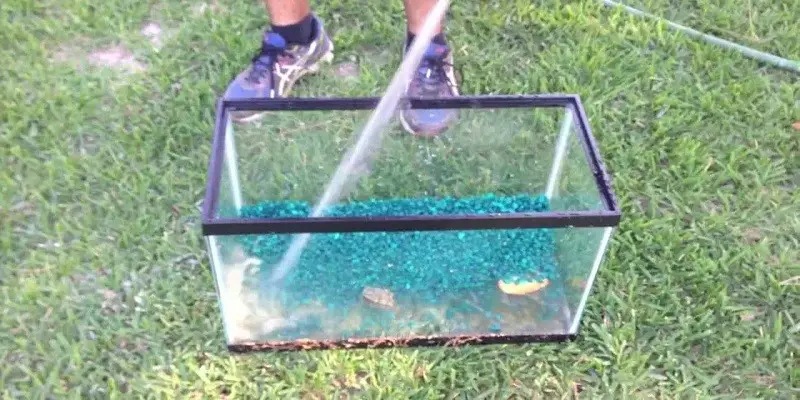 How To Clean A Turtle Tank