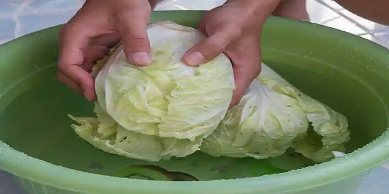 How To Clean Cabbage