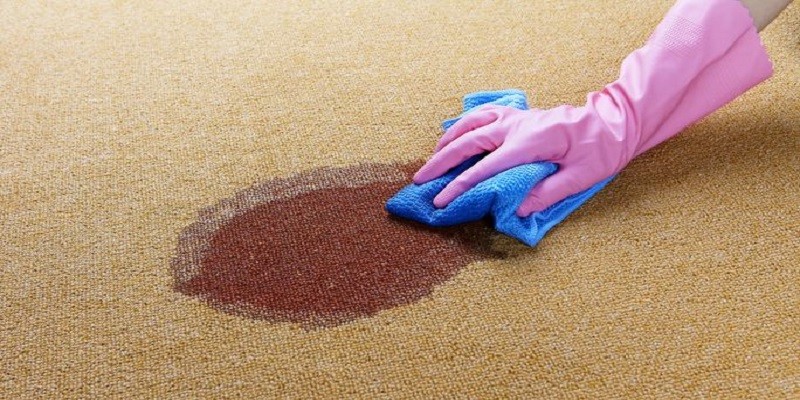 How To Clean Dog Vomit From Carpet