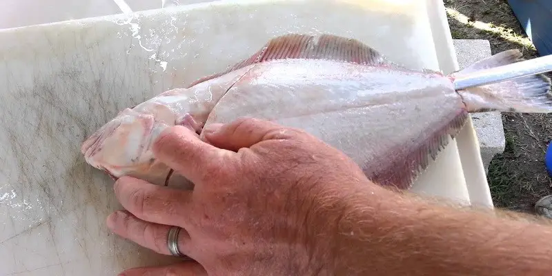 How To Clean Flounder