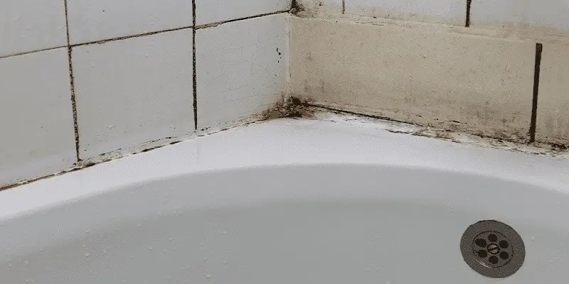 How To Clean Mold In Shower Grout