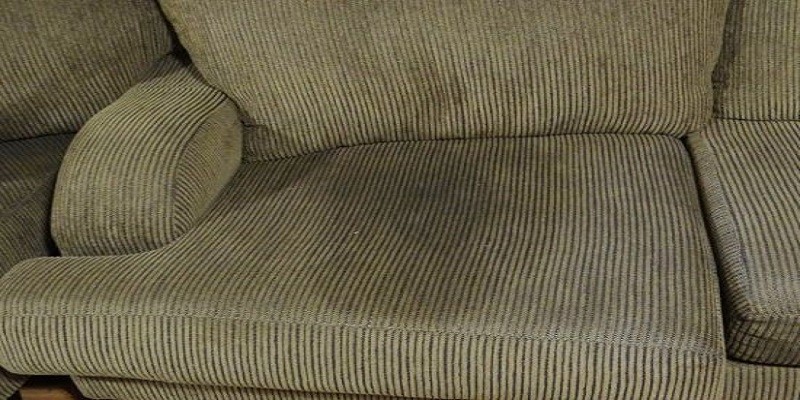 How To Clean Pee Off A Couch