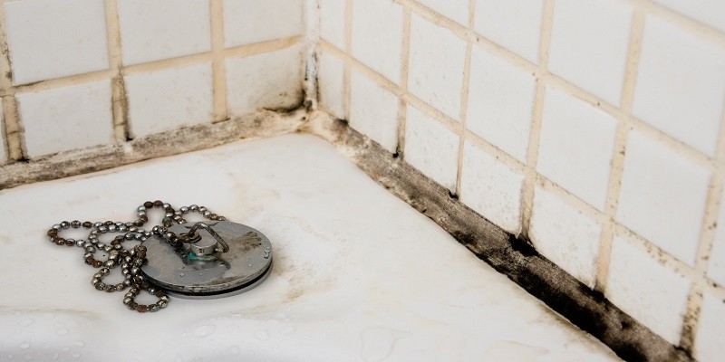 How To Remove Mold From Grout