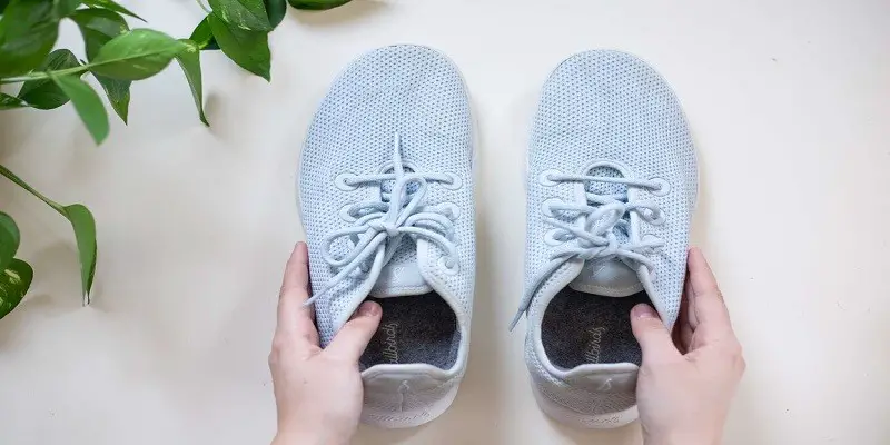 How To Wash And Clean Allbirds Sneakers