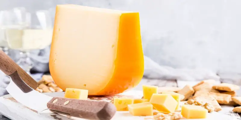 Can Pregnant Women Eat Gouda Cheese