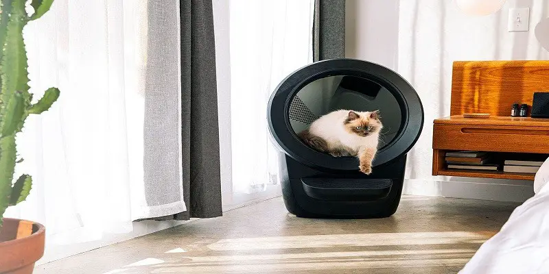 How To Clean A Litter Robot