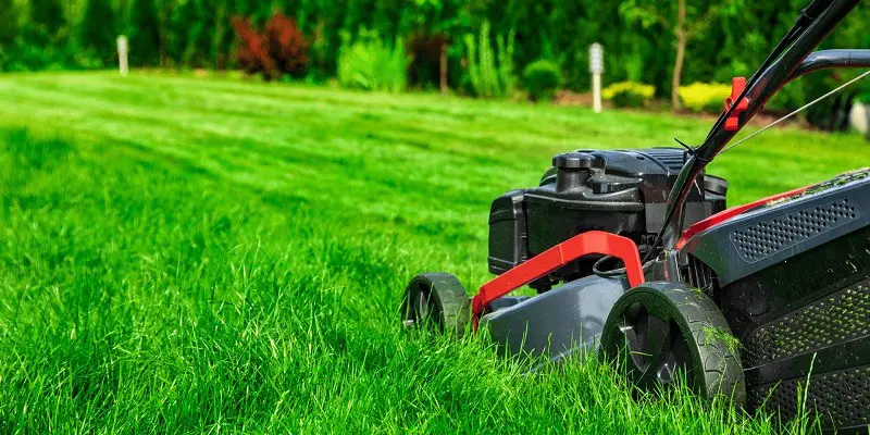 Should I Mow Before Or After A Lawn Treatment