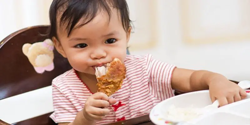How To Get Toddler To Eat Meat