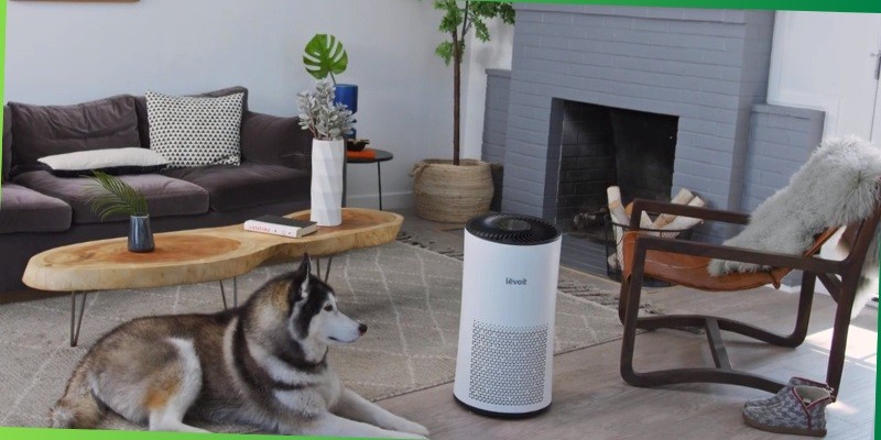 best air purifiers for families with allergies