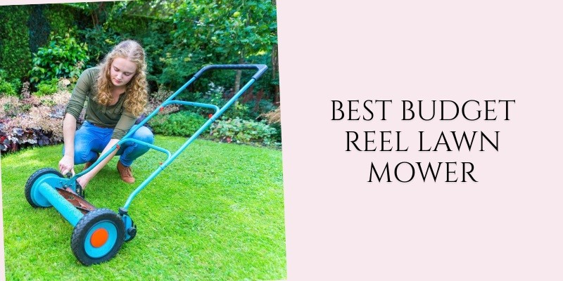 best budget reel lawn mower