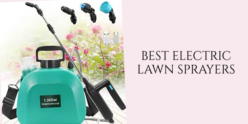 best electric lawn sprayers