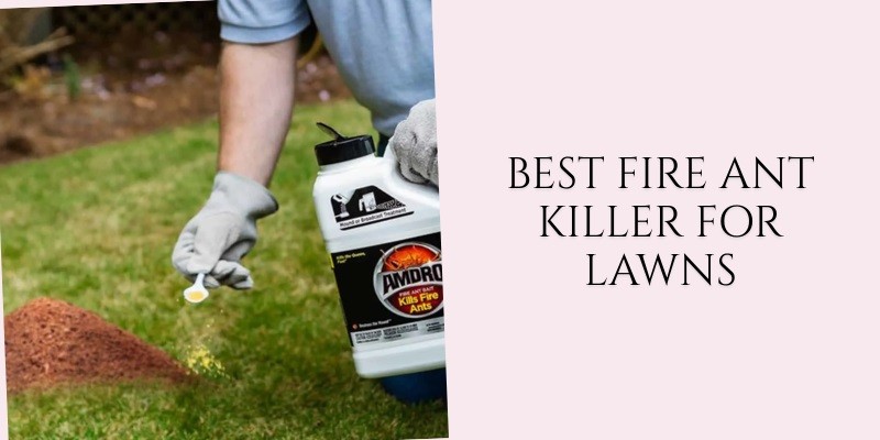 best fire ant killer for lawns