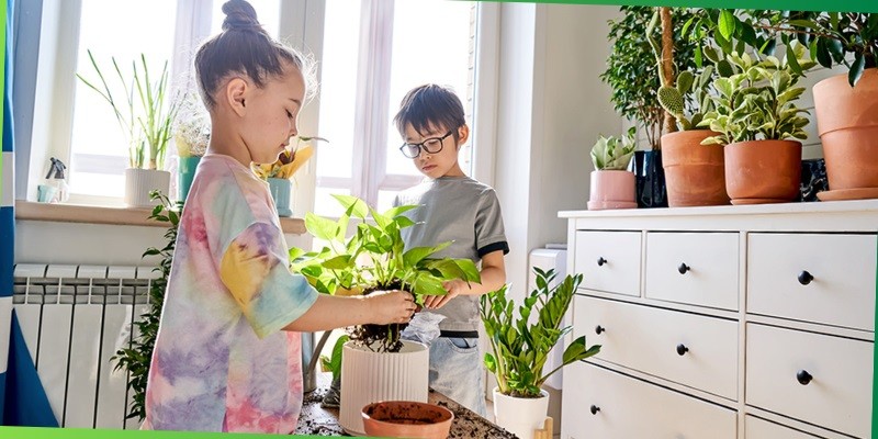 best indoor plants for homes with kids and pets