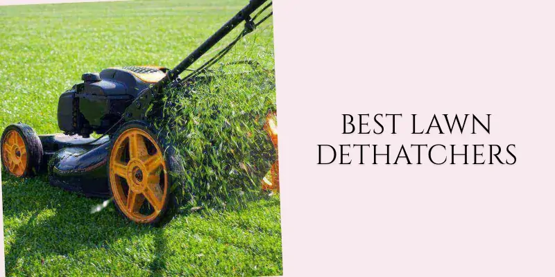 best lawn dethatchers